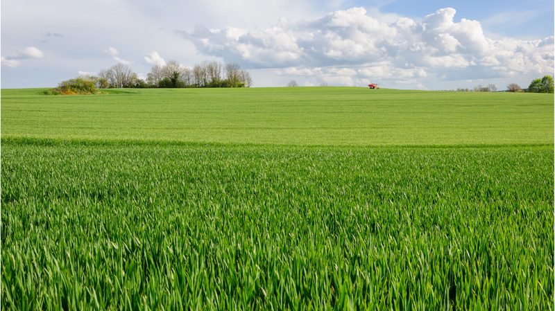 Neonicotinoids: a war between farmers and environmentalists, with the RN lying in wait
